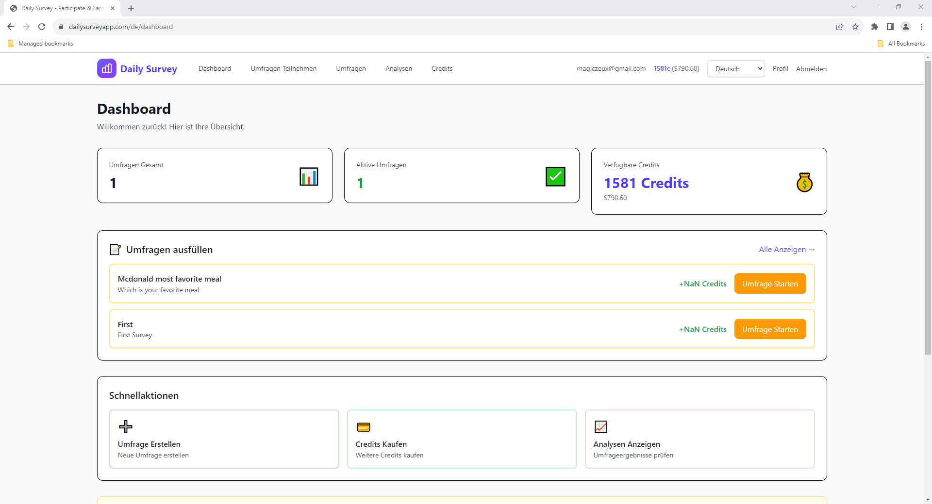 Dashboard - Ihre Zentrale für Umfragen und Einnahmen