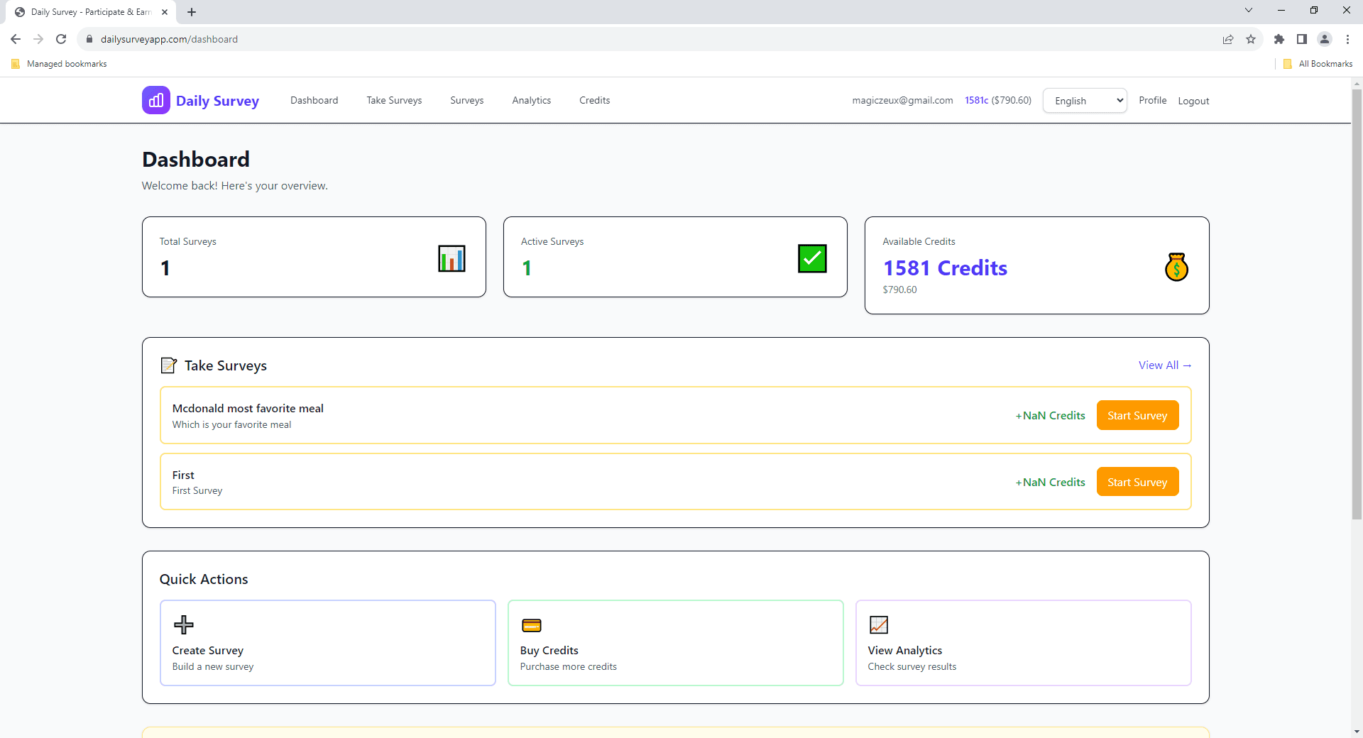Dashboard - Your central hub for surveys and earnings